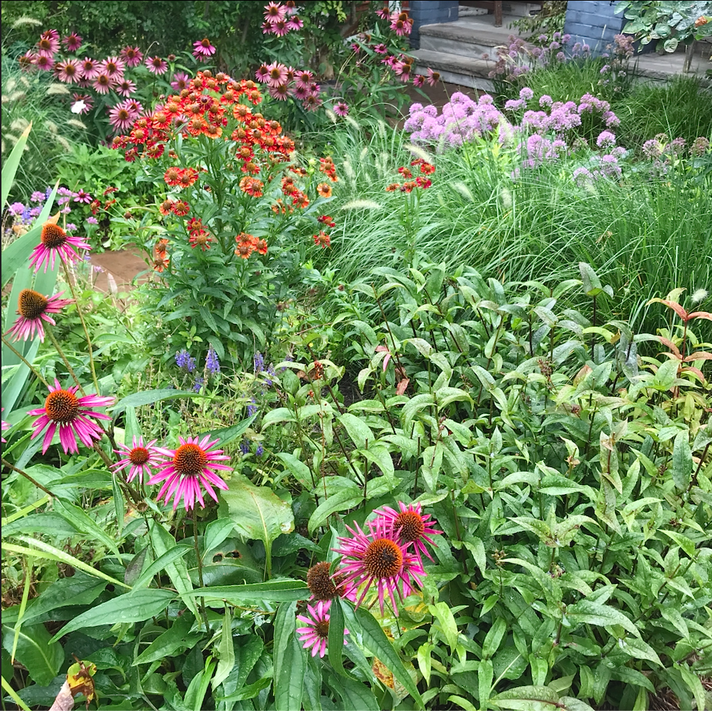 Screen Shot 2023-02-08 at 4.30.51 PM.png