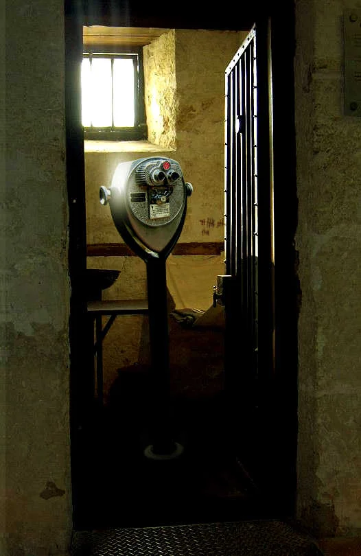 Viewer Cell.jpg