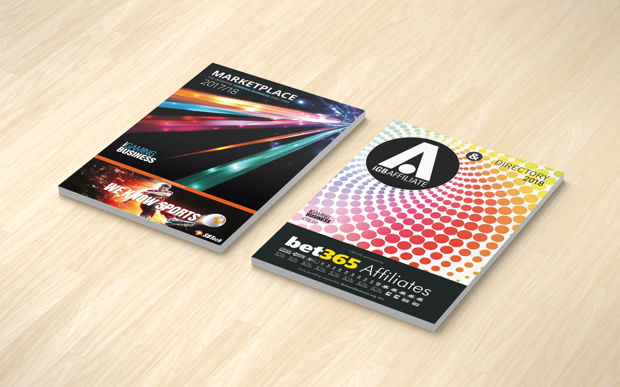 Directories - A5_Leaflet_Mockup_Double.jpg