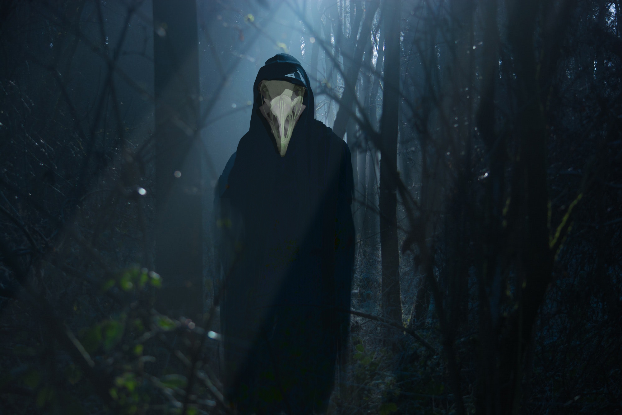 backlit-creepy-dark-289367.jpg