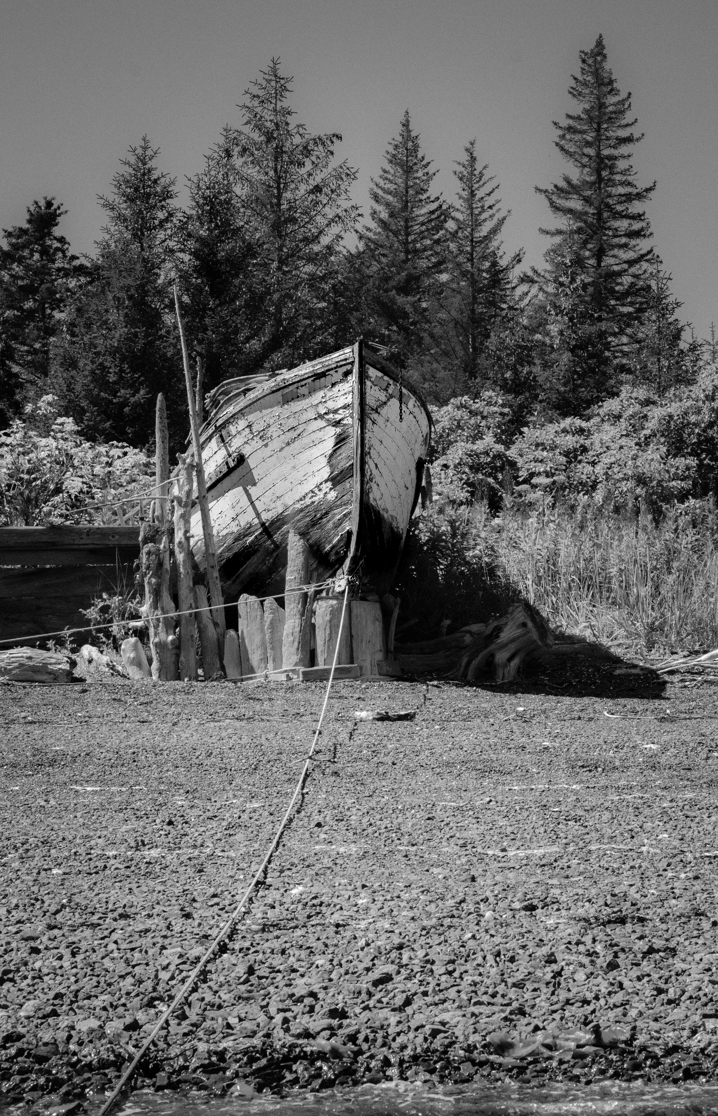 Shipwrecked