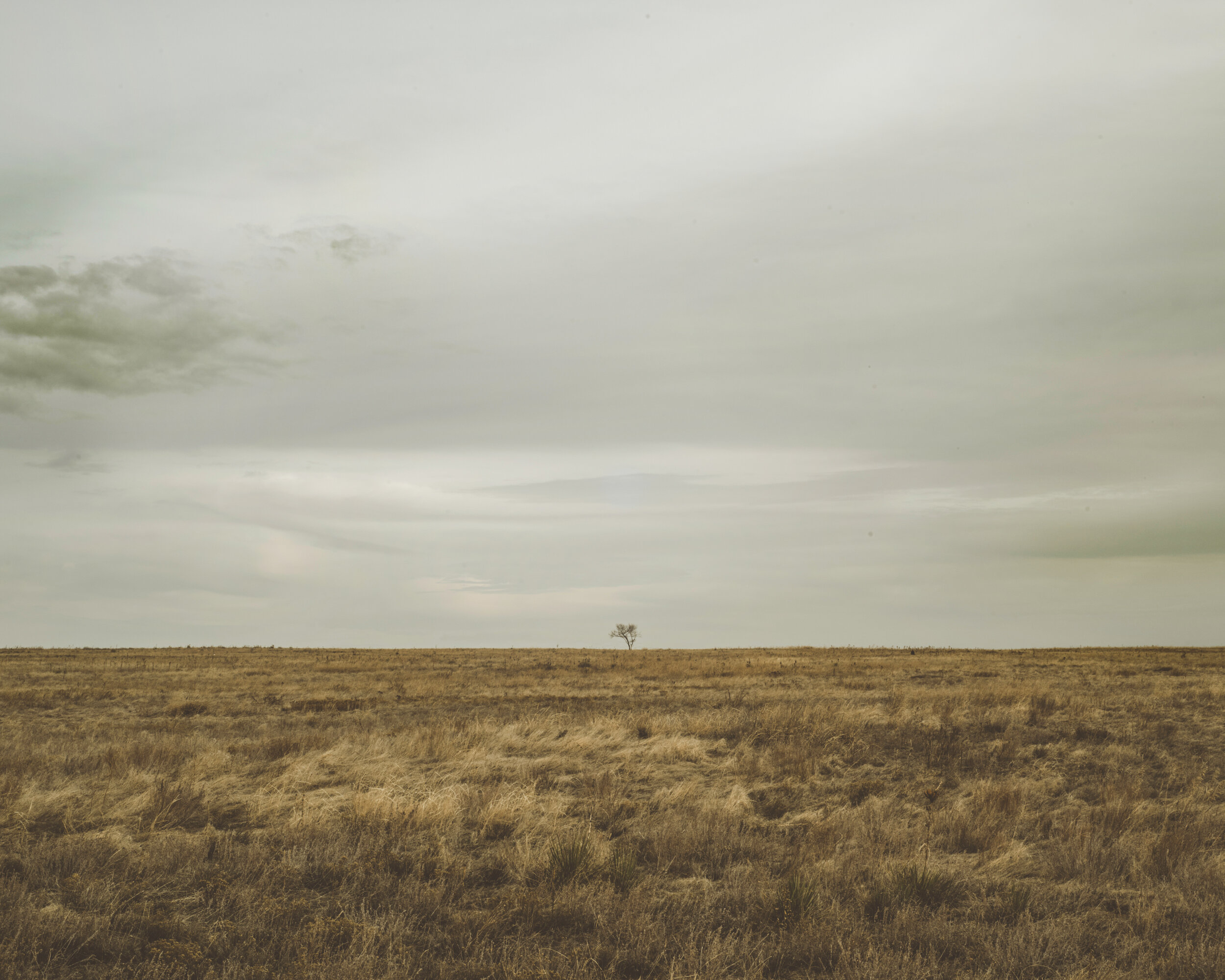 The Distance Between Me & My Memory
