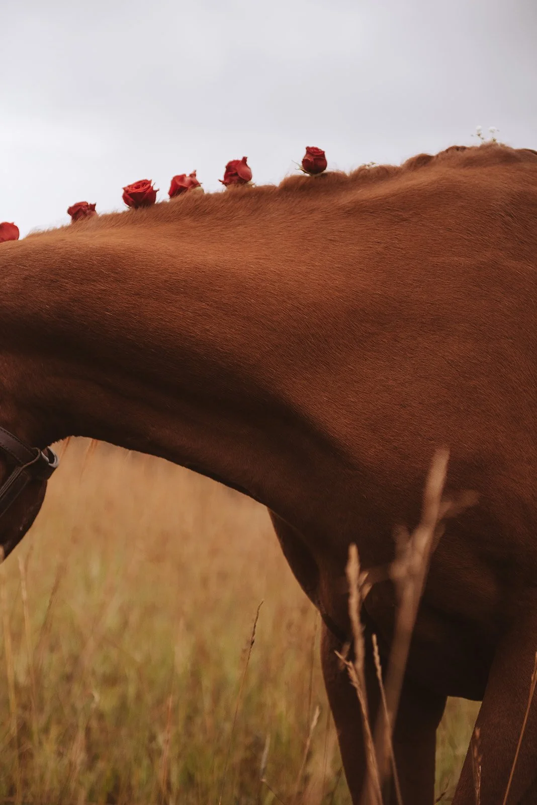 G&H-10_websize (1).jpg