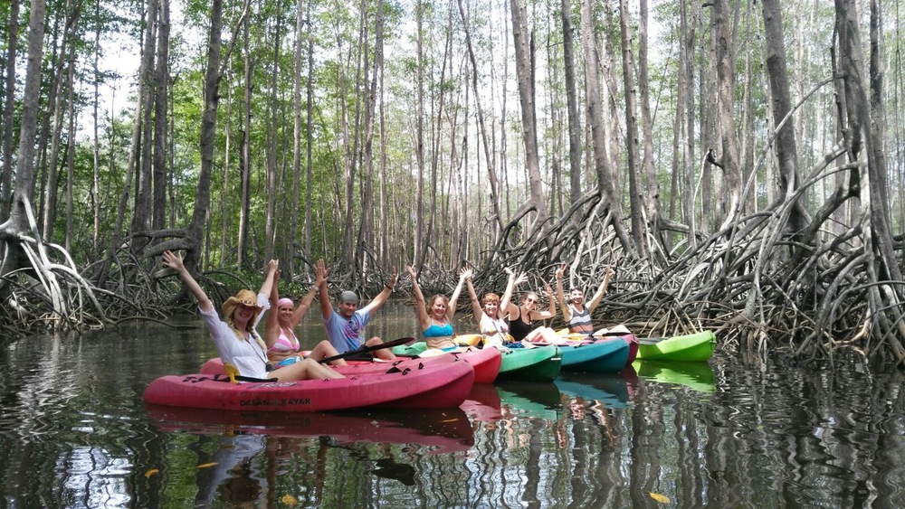 Group Tour in Mangroves Dominical Costa Rica