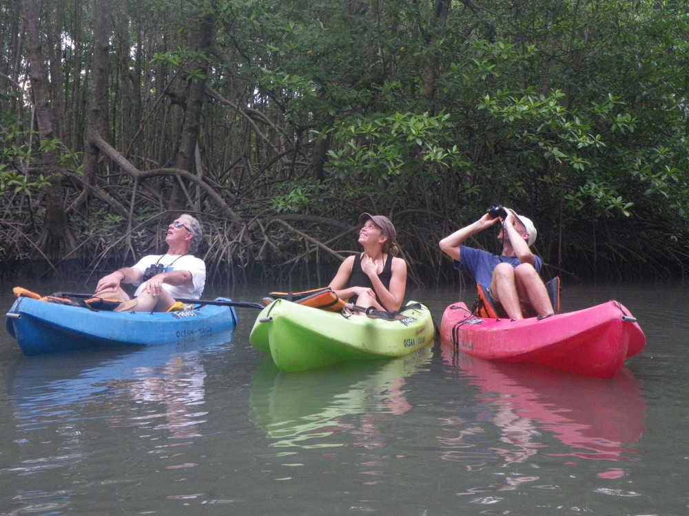 Kayaking in the Mangroves Dominical, Costa Rica