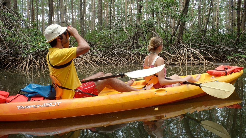 Double Kayak in Mangroves