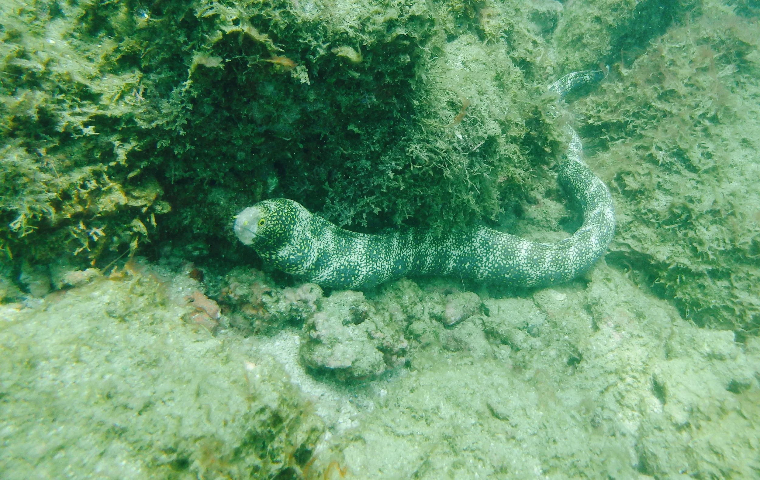 P3260047.jpg