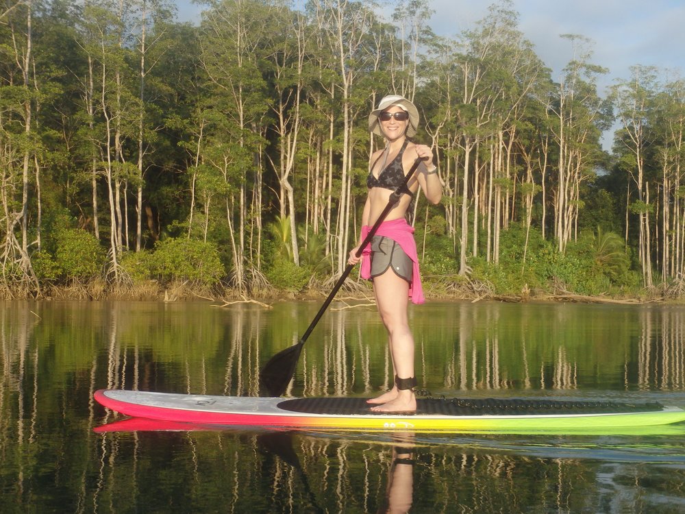Stand Up Paddle Board Tour in Mangroves