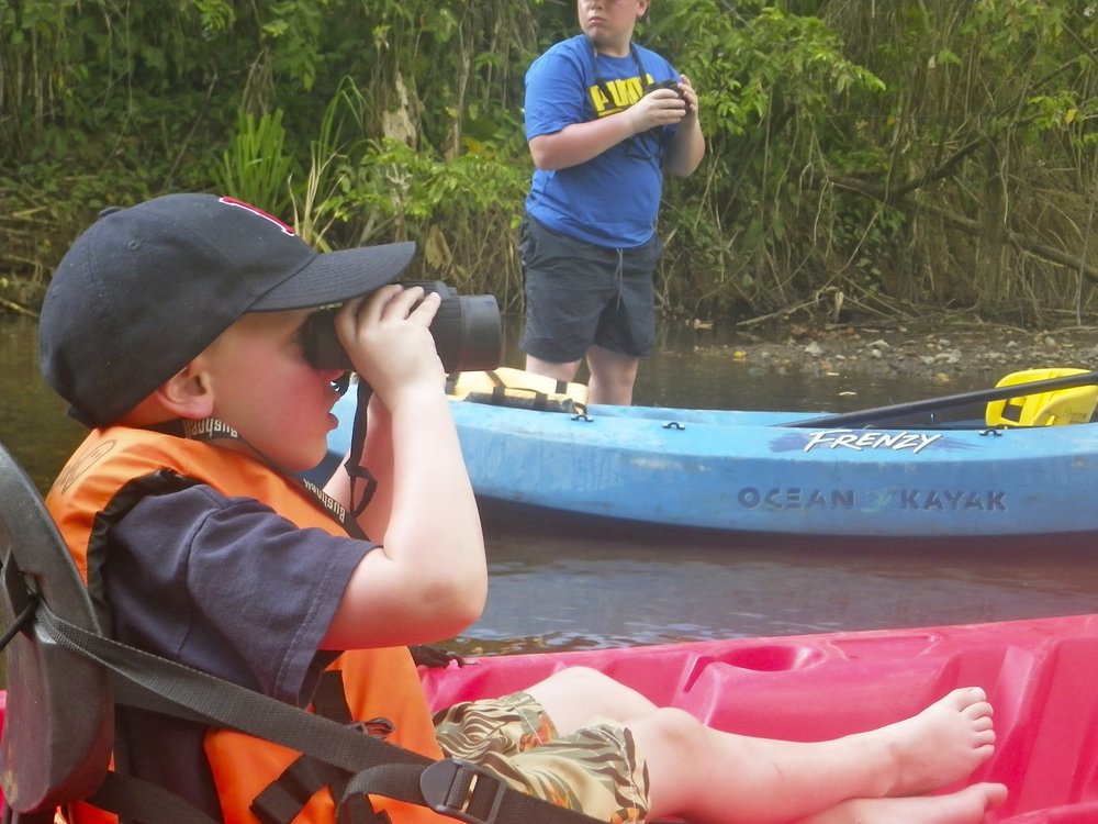 Kid Friendly Tours in Mangroves 