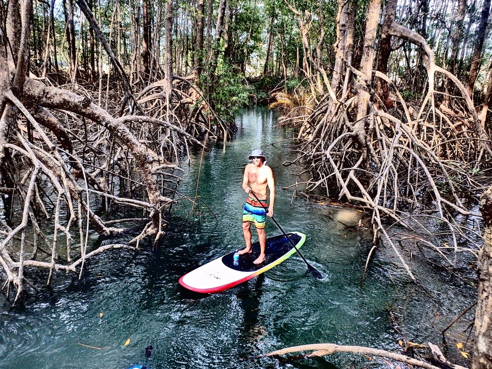 Mangrove Paddle Board