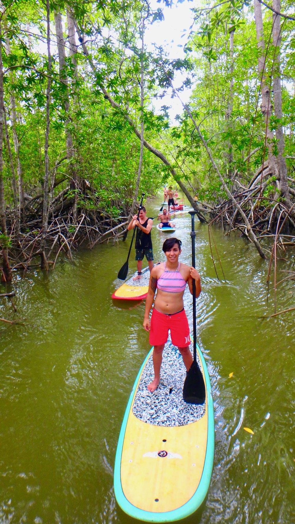 Stand Up Paddle Board Tours in the mangroves Costa Rica