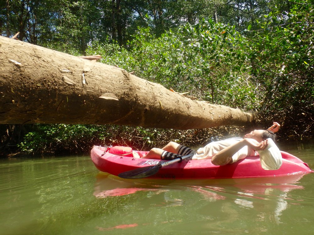 Fun Times in the mangroves Dominical