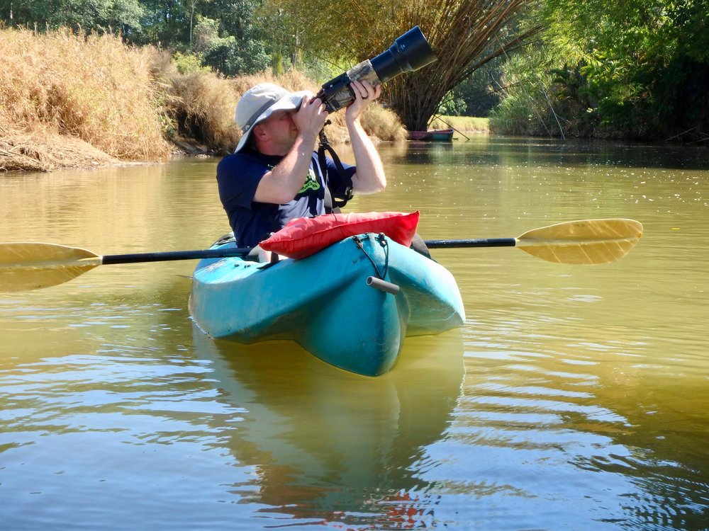 Great for Photographers on Mangrove Tour
