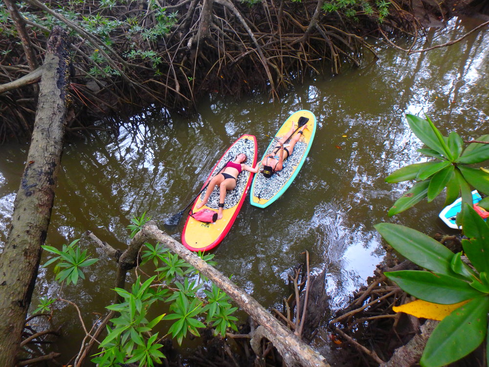 Stand Up Paddle Board in the Mangroves Dominical Costa Rica
