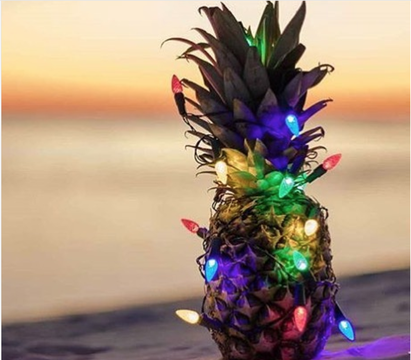 Wishing you all a very Happy Holiday season and Happy New Year!