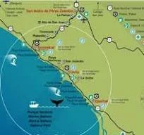 TOUR INFO and CONCIERGE SERVICES