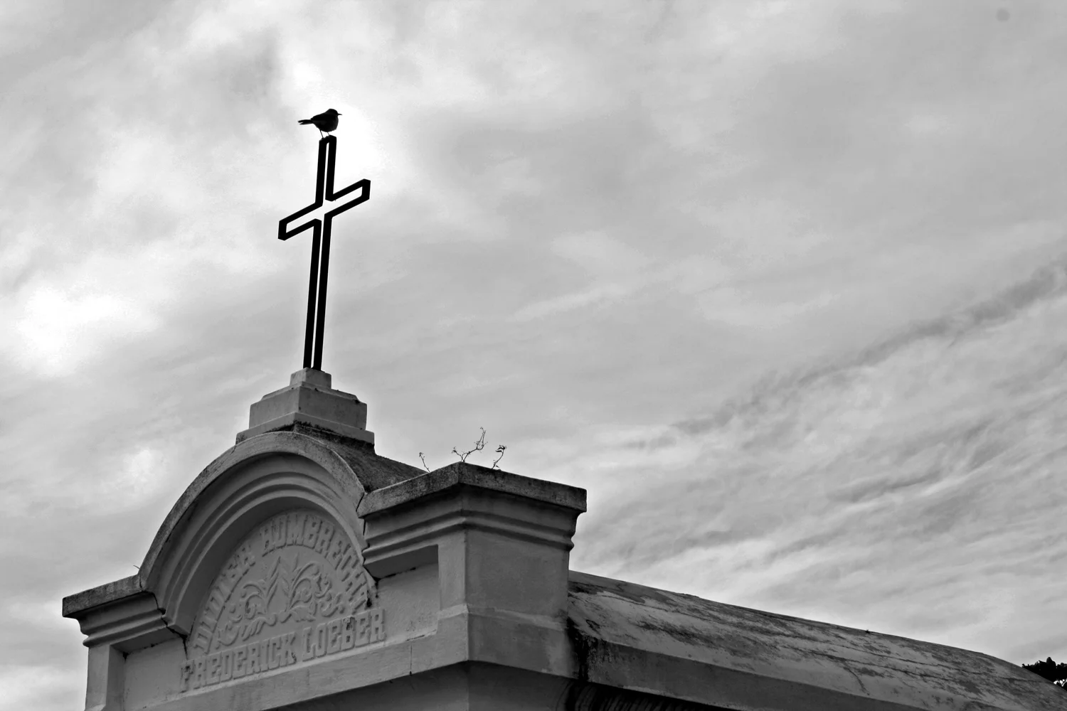 Bird on Cross