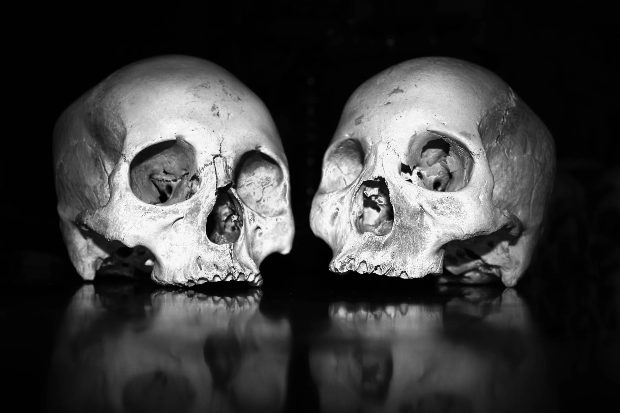 Die Two