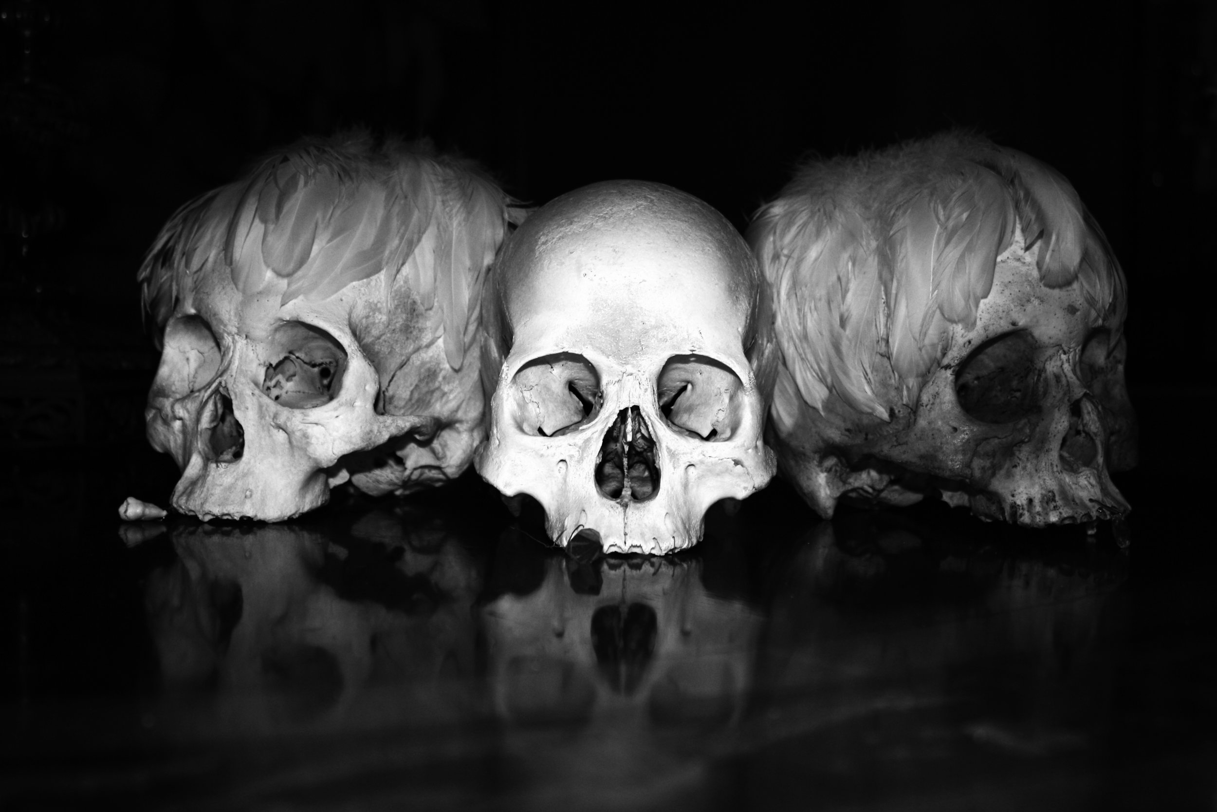 Die Three