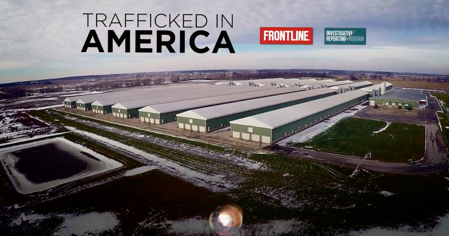 Trafficked in America
