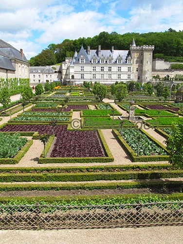 chateau, france, gardens