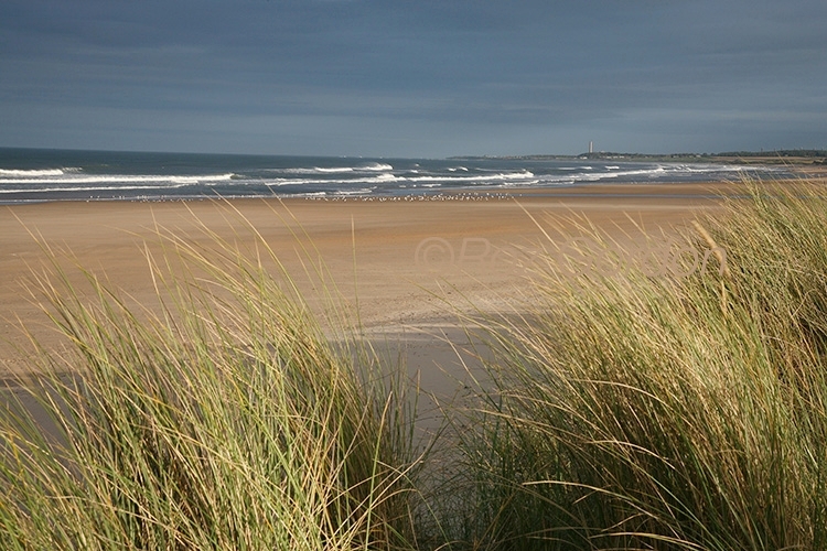 Druridge Bay, Northumberland