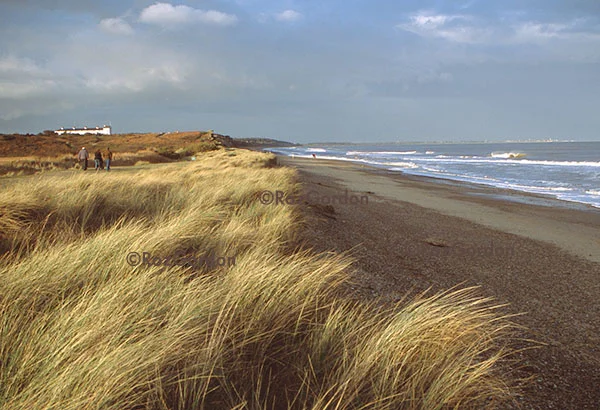 Minsmere beach, Suffolk