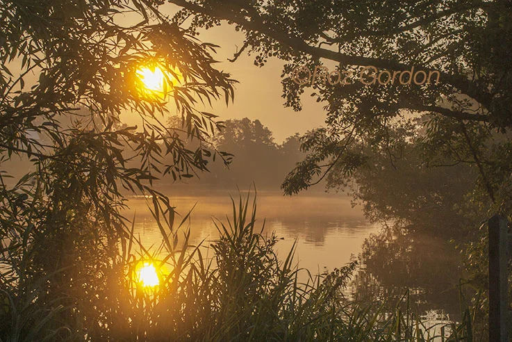 River Bure, Norfolk