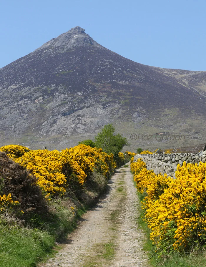 Mourne Mountains, Co Down