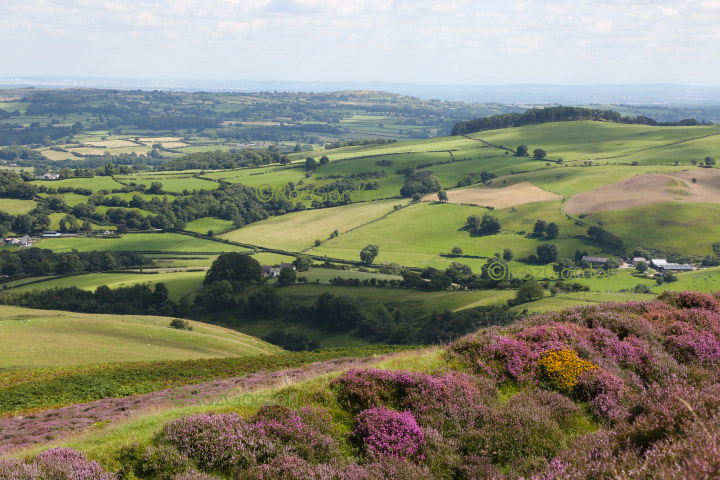 DENBIGH, WALES