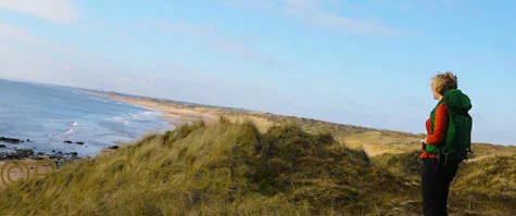 Balmedie beach, Aberdeenshire