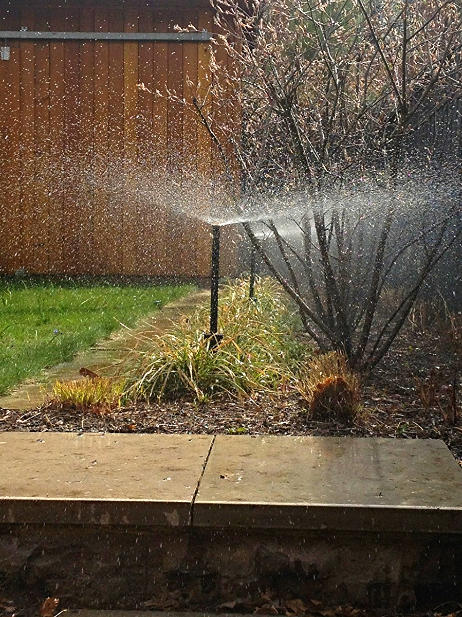 SprayHeadLine.jpg
