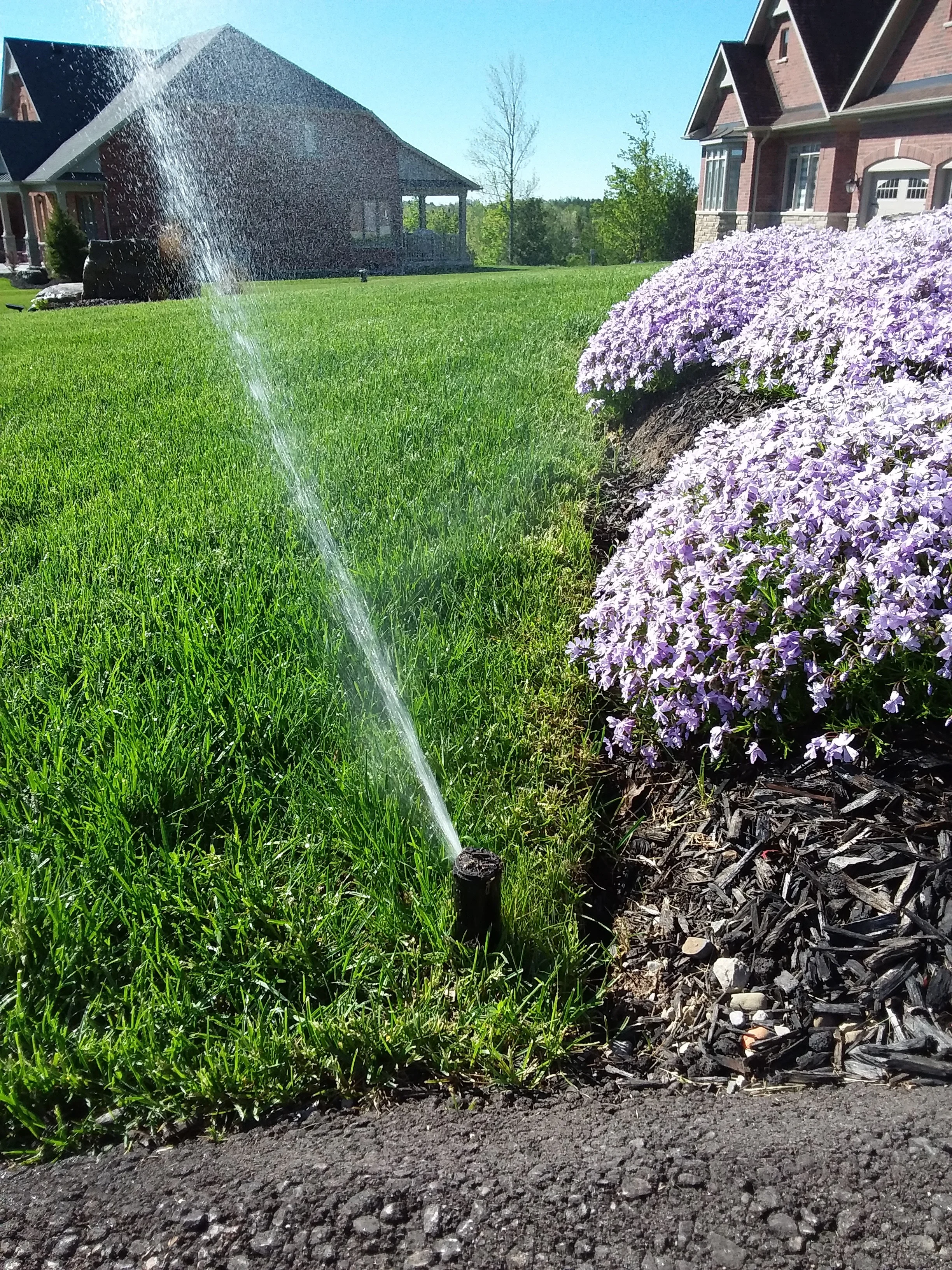 20170601_091657.jpg