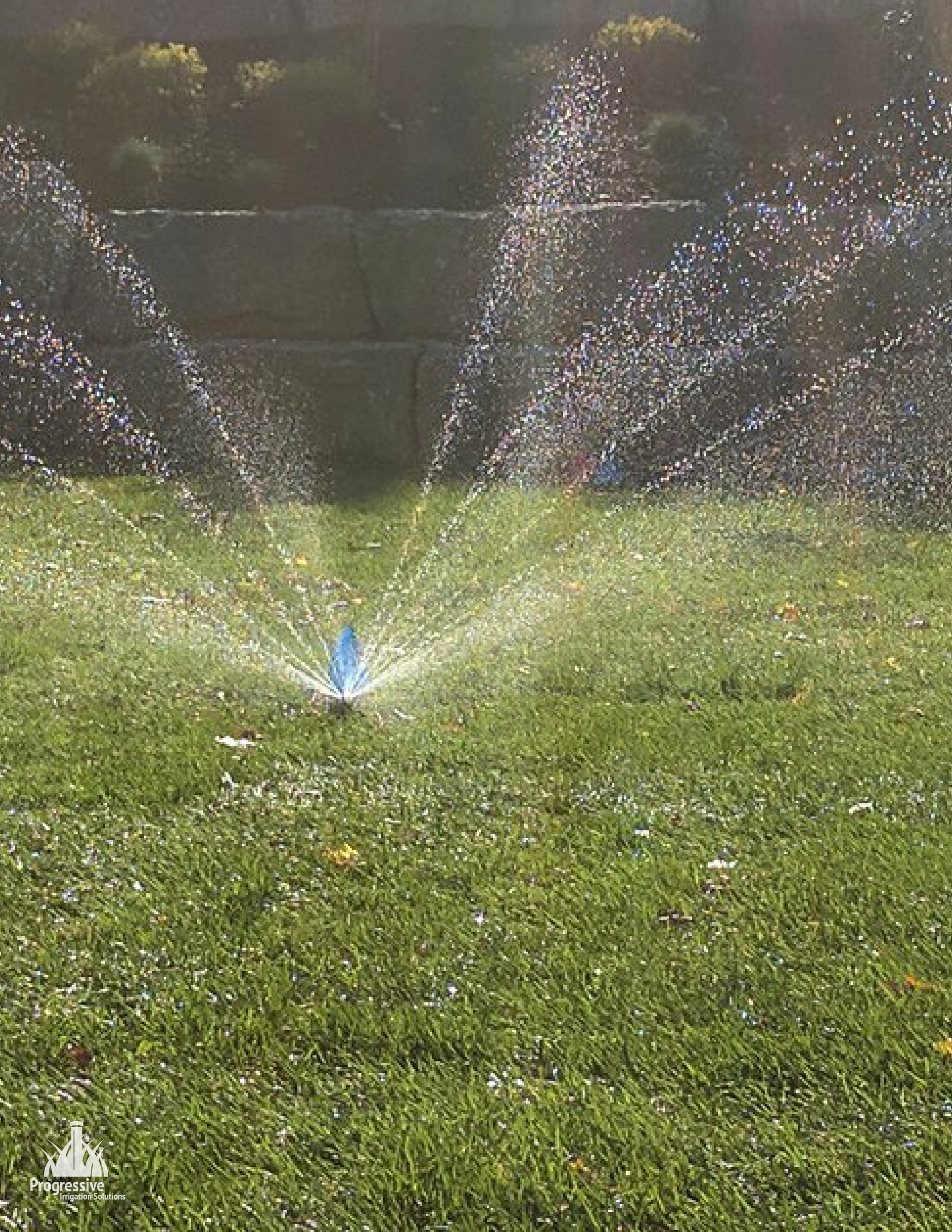 Irrigation - Sprinkler Head - Caledon 1-01.png