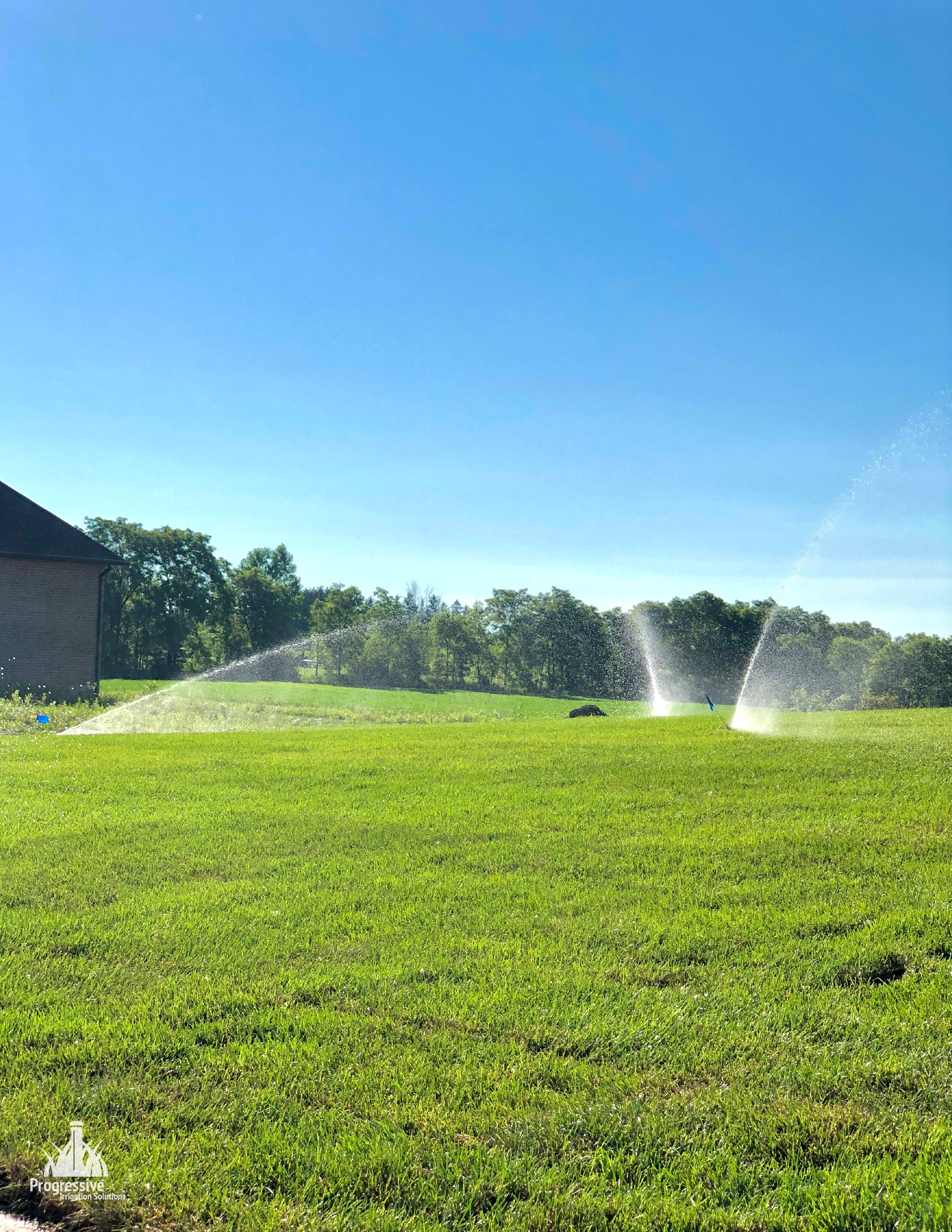 Guelph - Irrigation System - Sprinklers 1-01.png