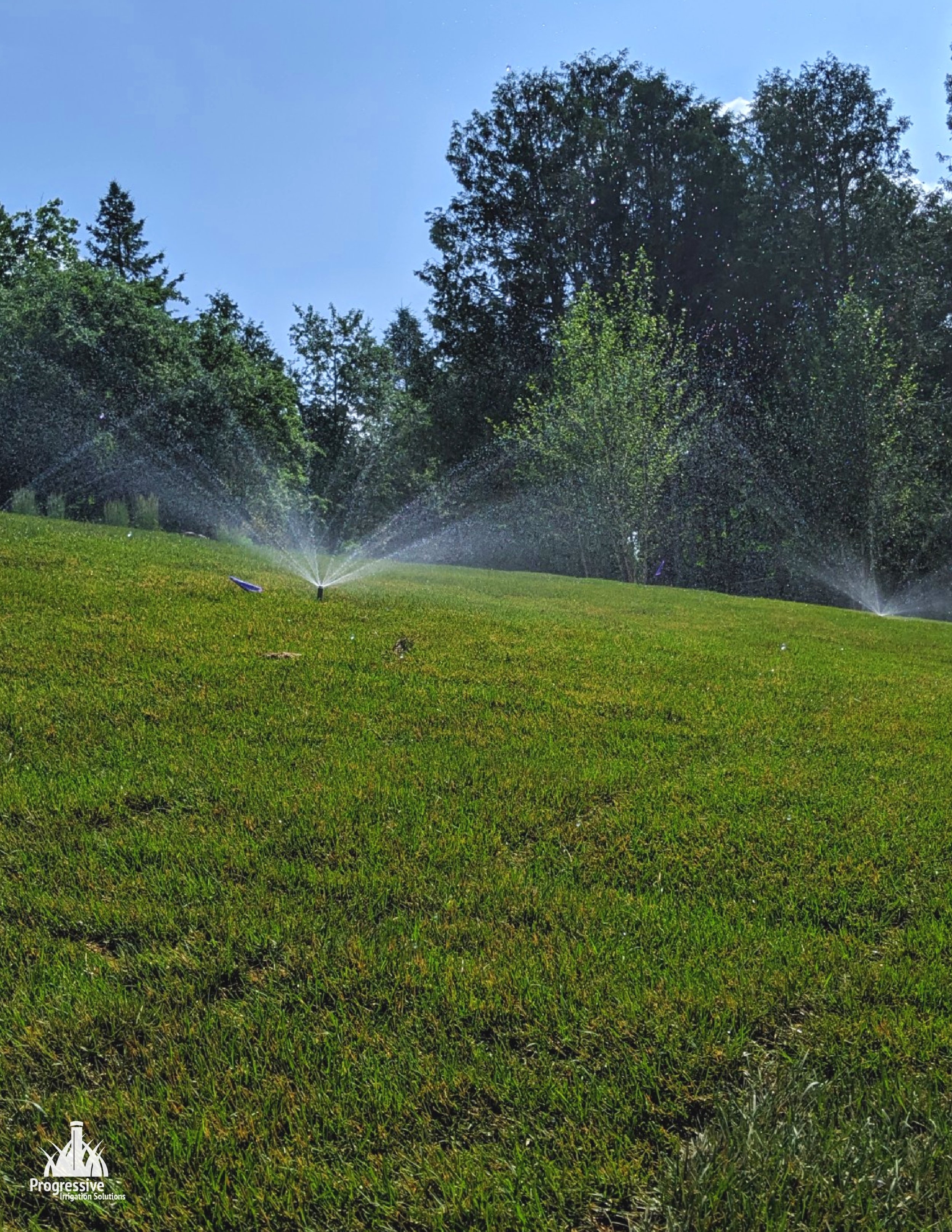 Guelph+Irrigation+System+-+Sprinkler+Head+1-01.jpg