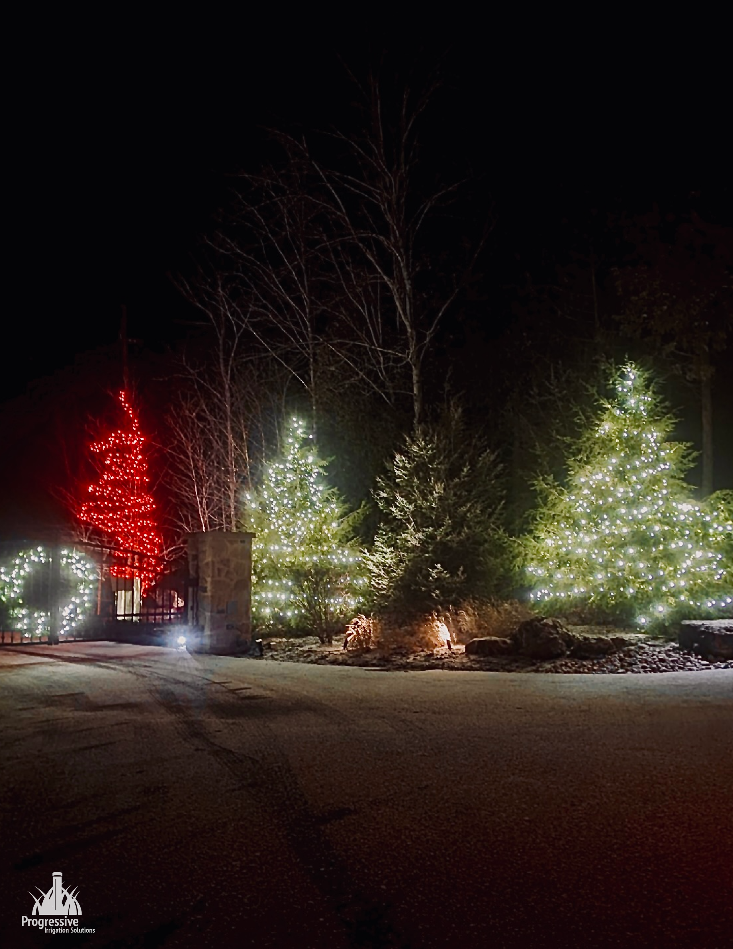 christmas lighting - acton - 1-01.png