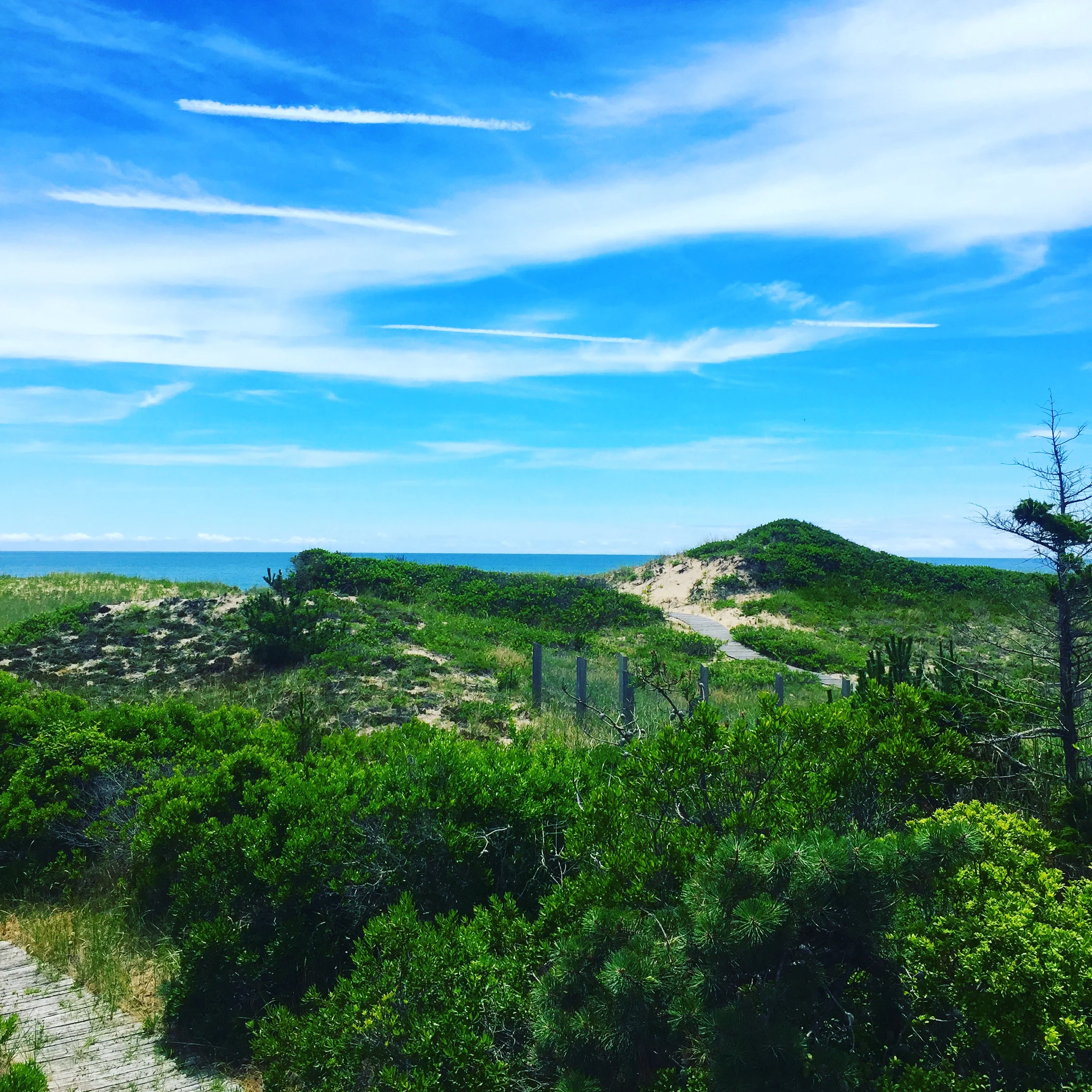 Guide: Labor Day in New York City & The Hamptons