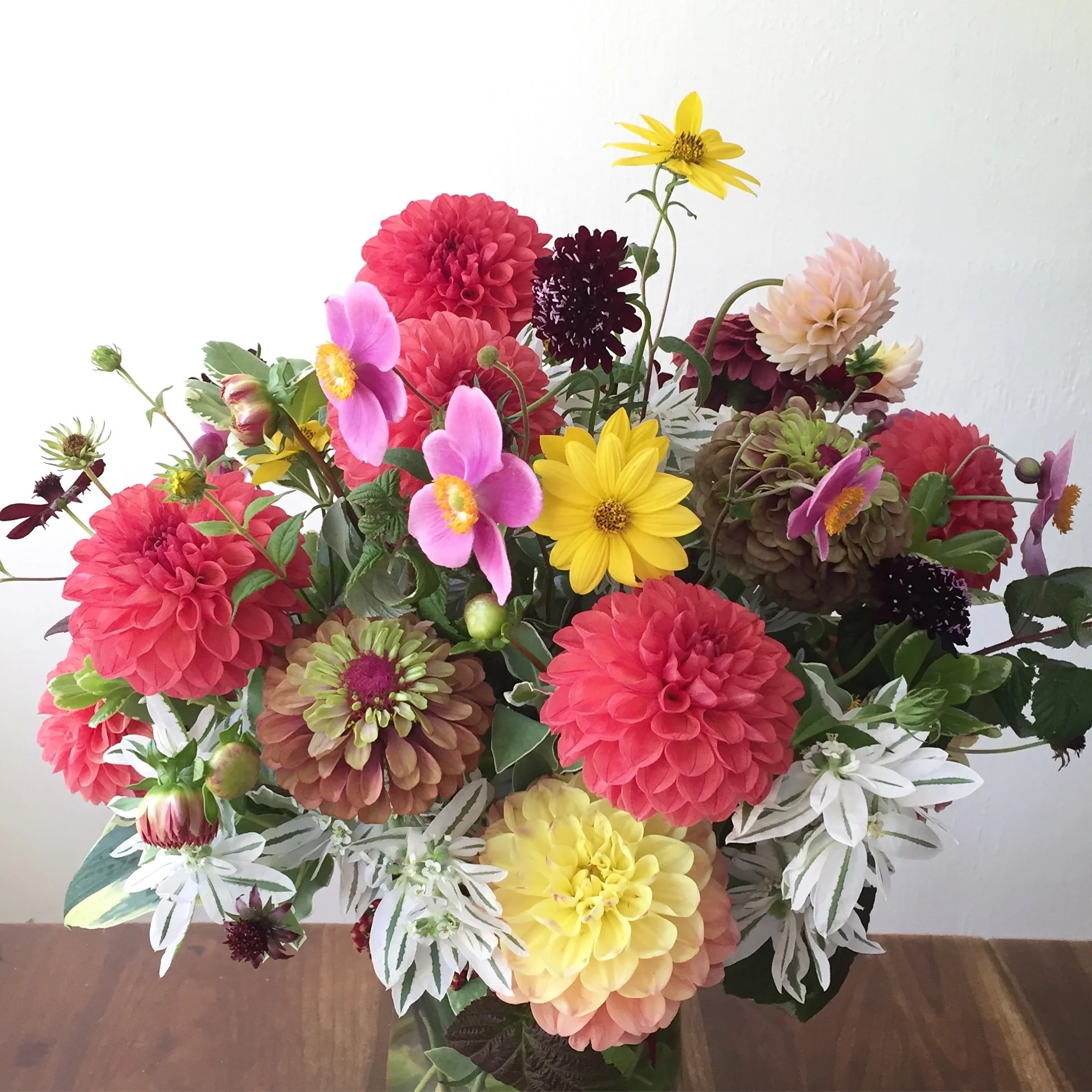 dahlia & anemone.jpg