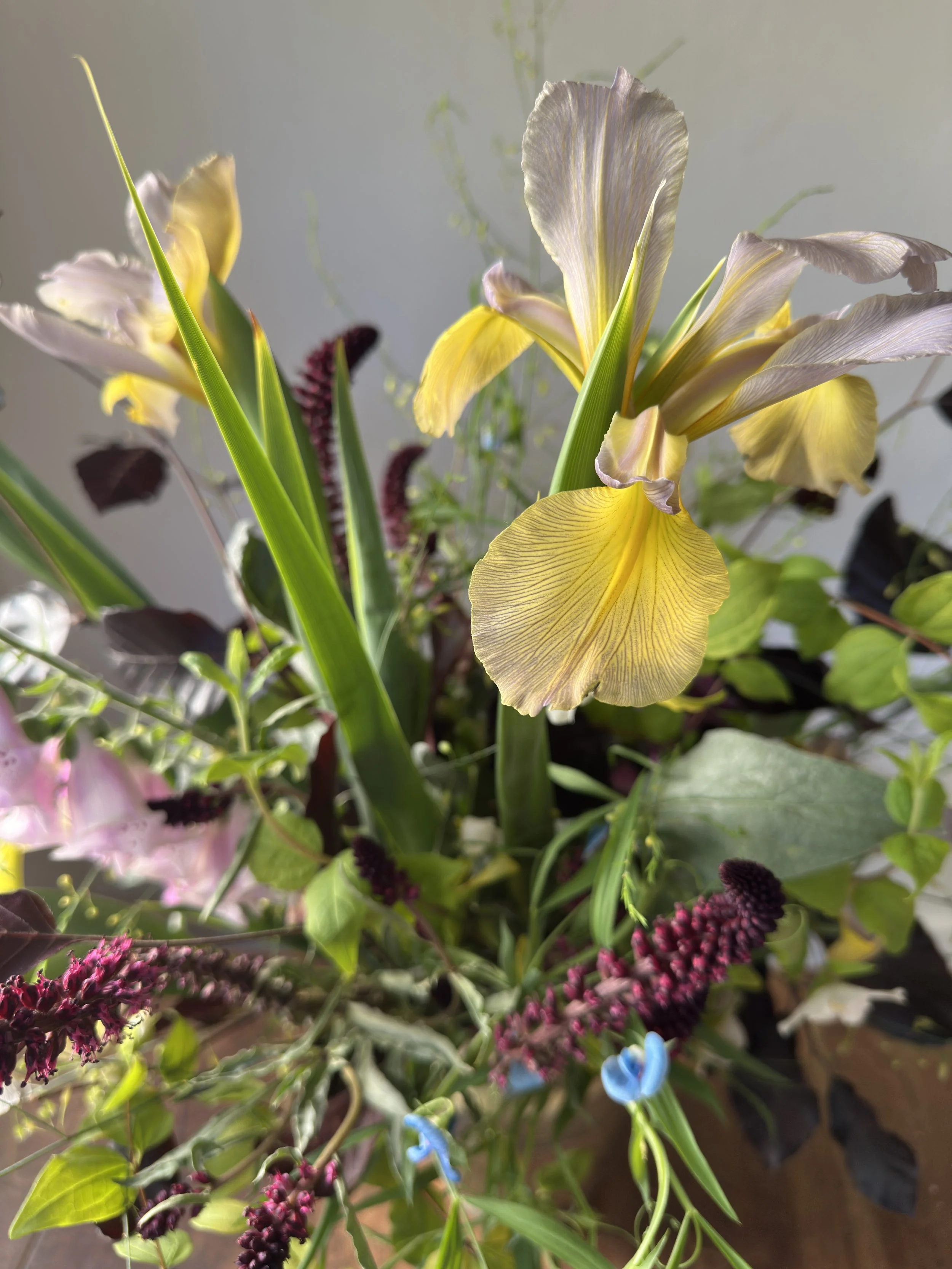 Anatomy of a Summer Garden Arrangement