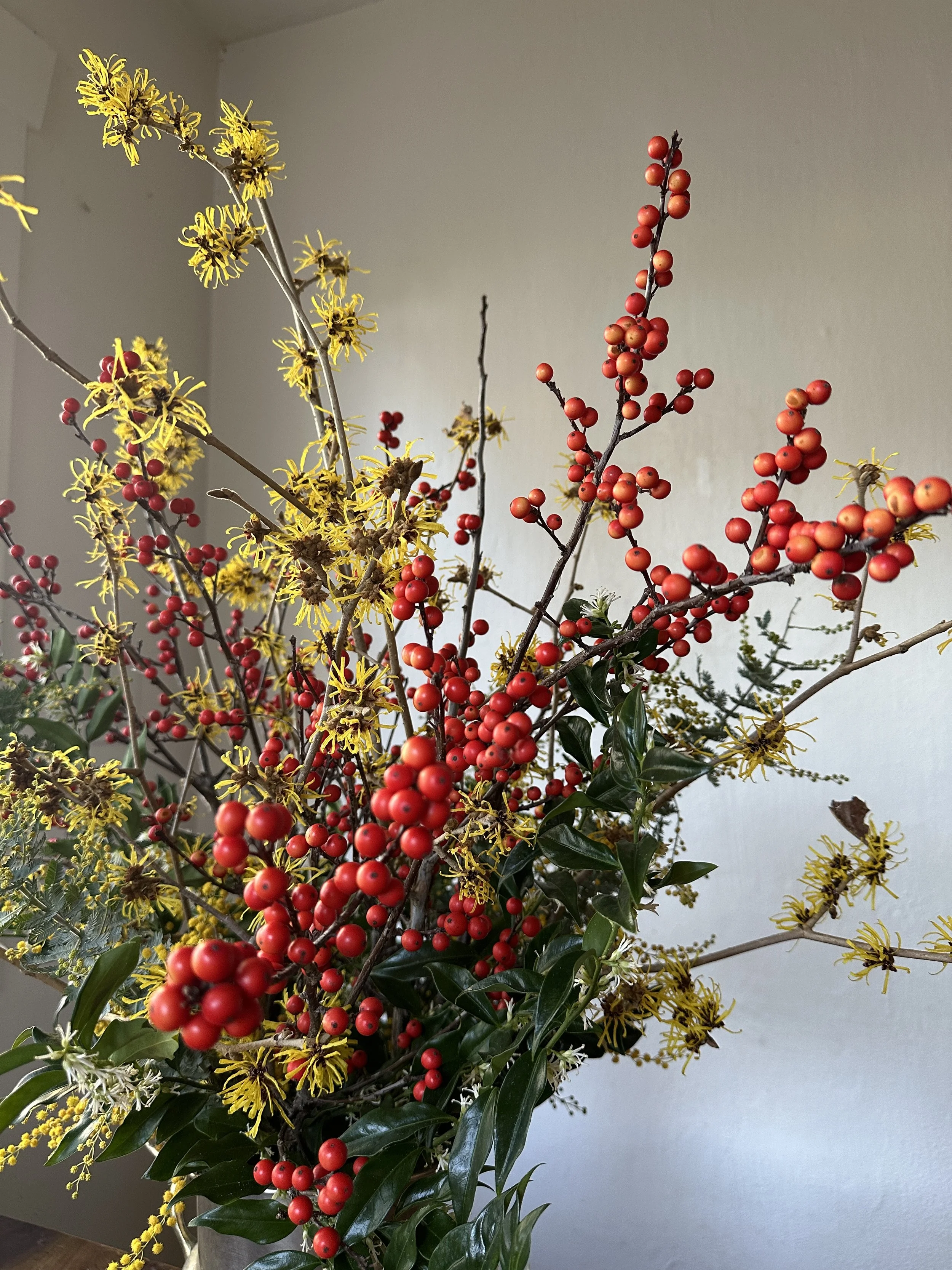 Fragrance is Life! Winter Botanicals and Their Heady Scents