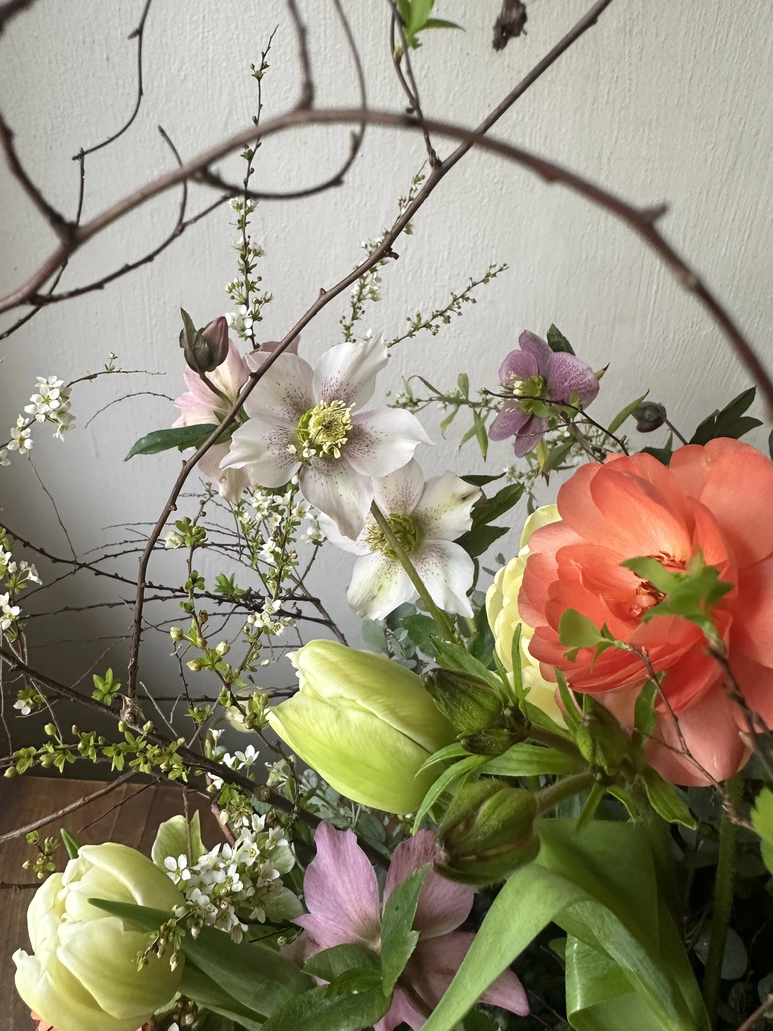 Icons of Aging: The Unfurling Botanicals of Spring