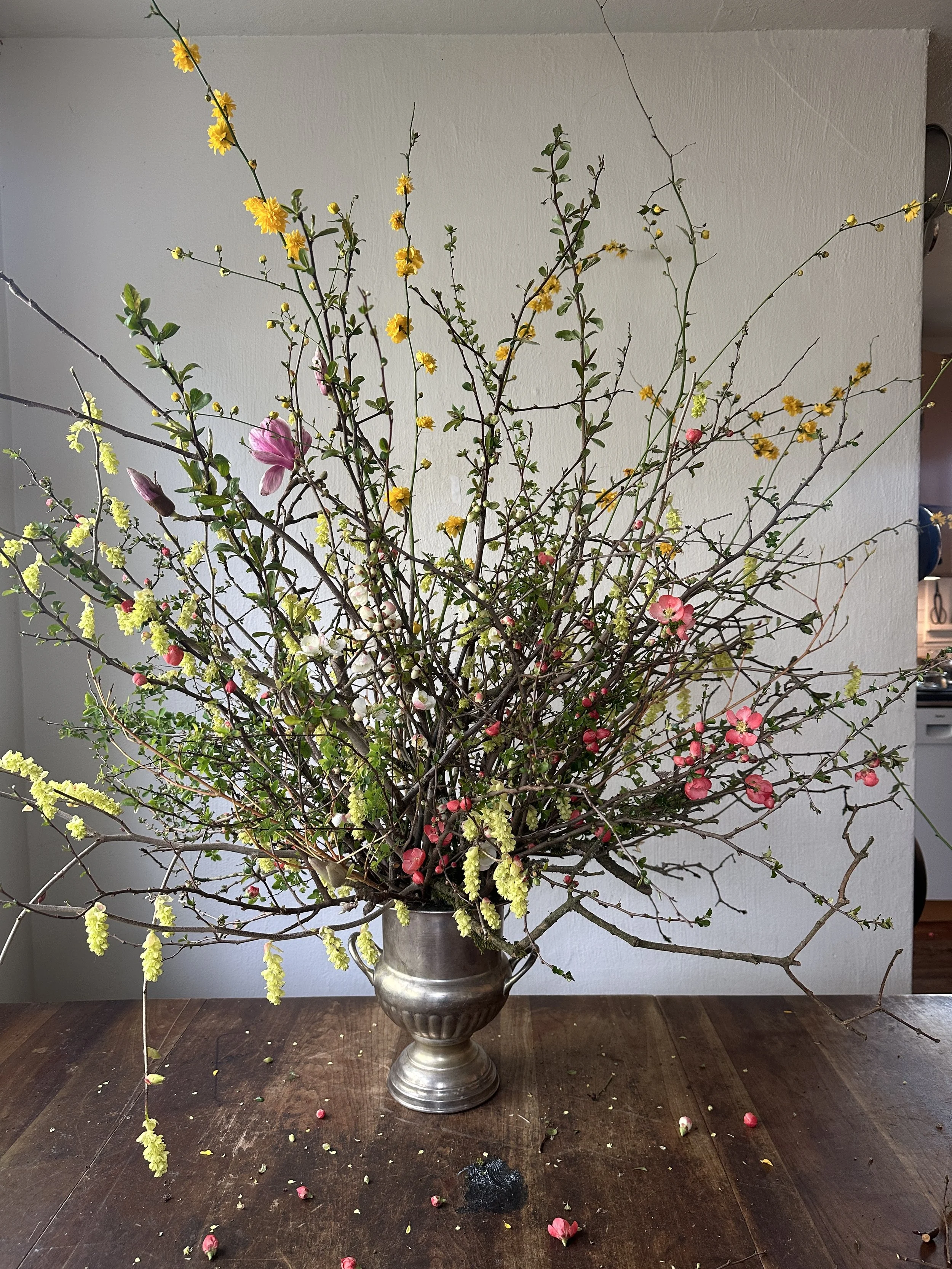 Pure Potential: Designing with Spring Branches