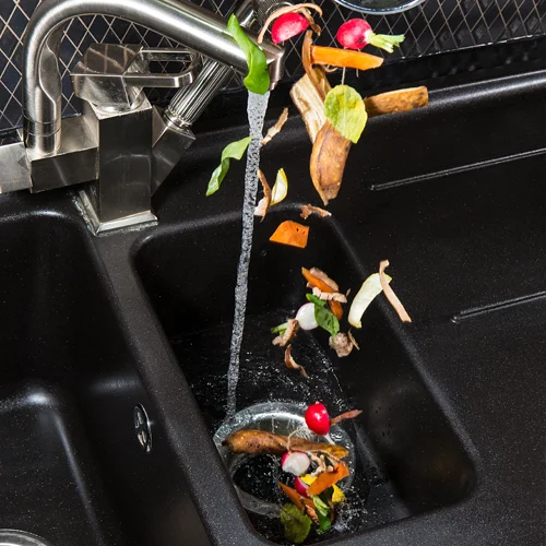 A garbage disposal is not a garbage can.