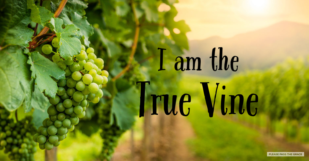 Family Worship Ideas John 15:1-8 - I am the Vine