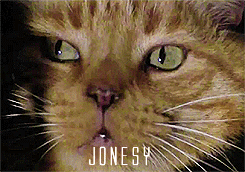 Jonesy.gif
