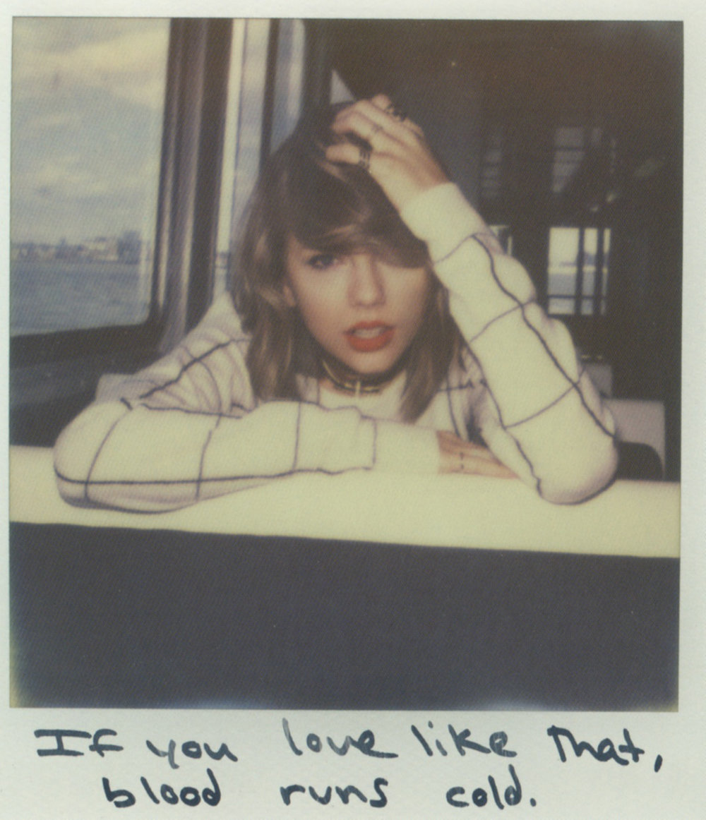 Taylor Swift Polaroid.jpg