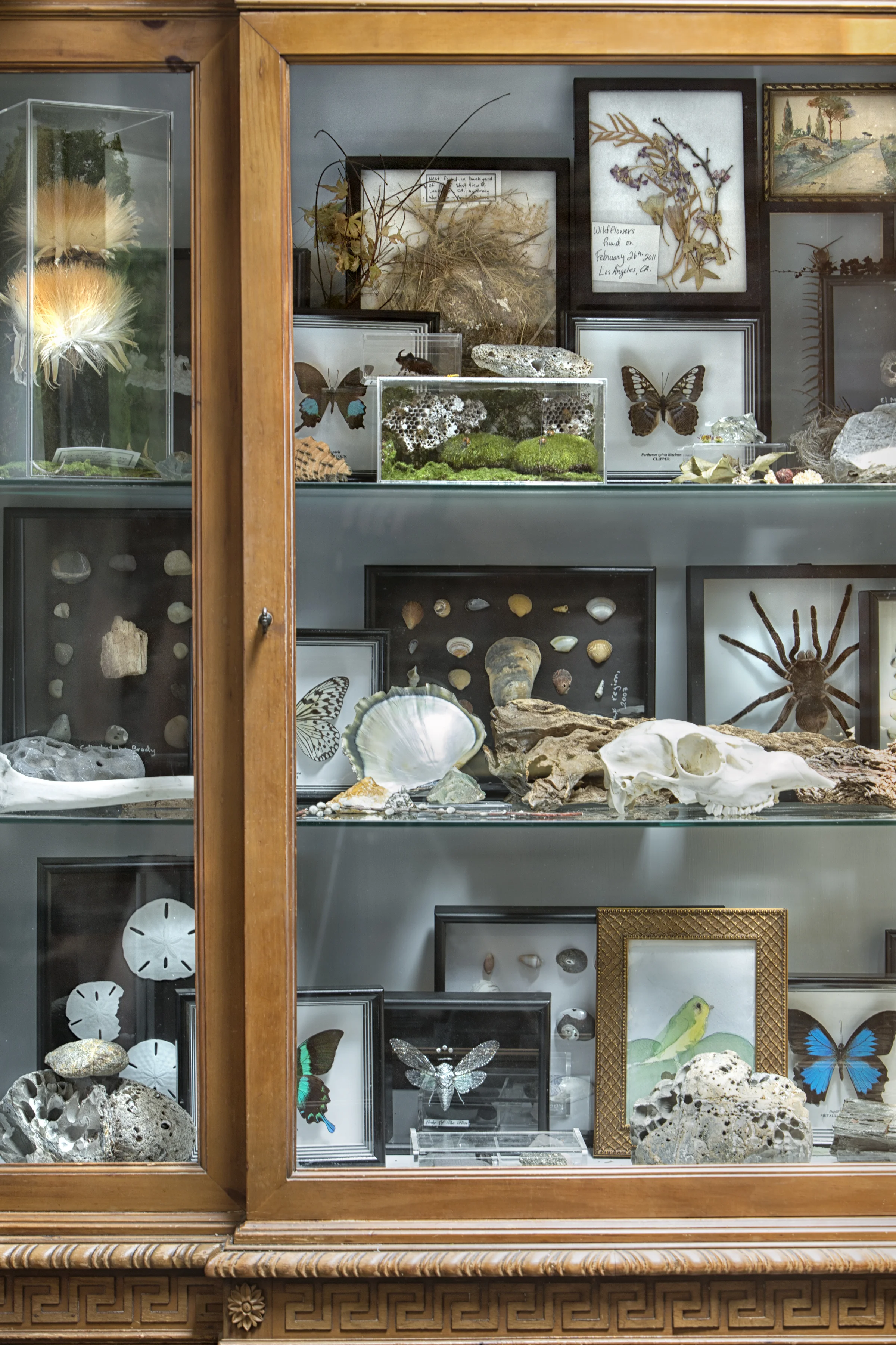 A collection, like this one of various natural curiosities, is not only fascinating and colorful, but also a cool learning tool for Michelle’s children.