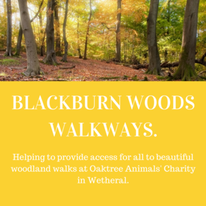 blackburn woods.png