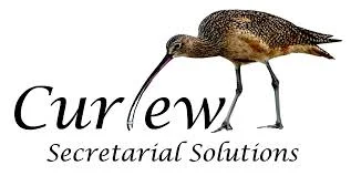 curlew.jpeg